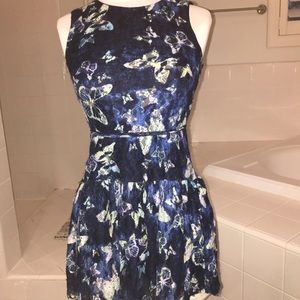 Super cute lace dress with butterfly details.